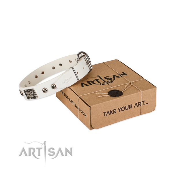 Rust-proof fittings on dog collar for comfortable wearing