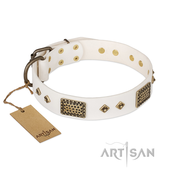 Amazing genuine leather dog collar for comfortable wearing