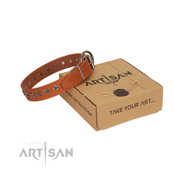 Comfortable wearing dog collar of best quality full grain natural leather with studs