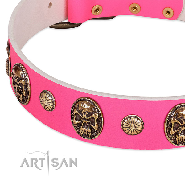Durable studs on full grain leather dog collar for your pet