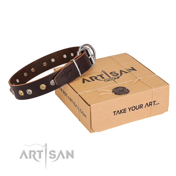 Strong leather dog collar crafted for daily use