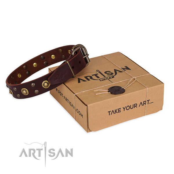 Rust resistant fittings on full grain natural leather collar for your beautiful four-legged friend