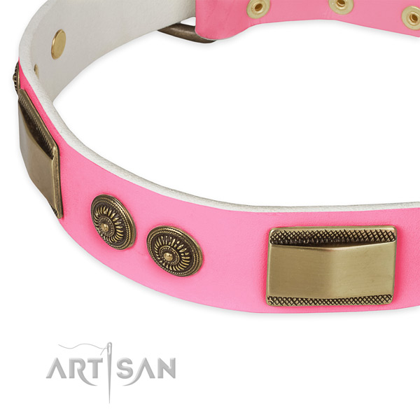 Leather dog collar with adornments for daily use