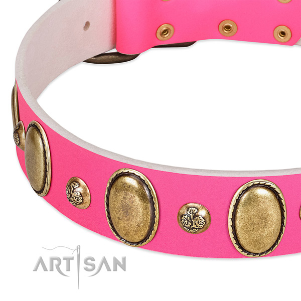 Everyday walking high quality genuine leather dog collar