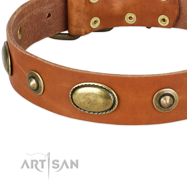 Corrosion proof adornments on full grain leather dog collar for your dog