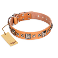 "Glamour Finery" FDT Artisan Female Sharpei collar of natural leather with stylish old-looking circles