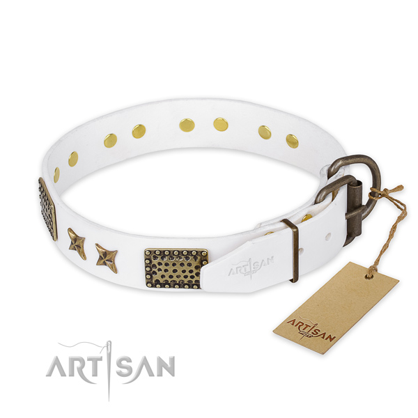 Reliable hardware on leather collar for your attractive pet