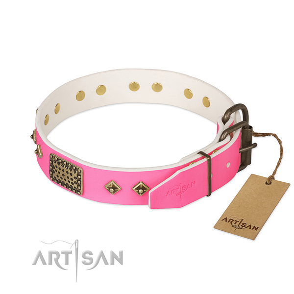 Strong fittings on comfy wearing dog collar