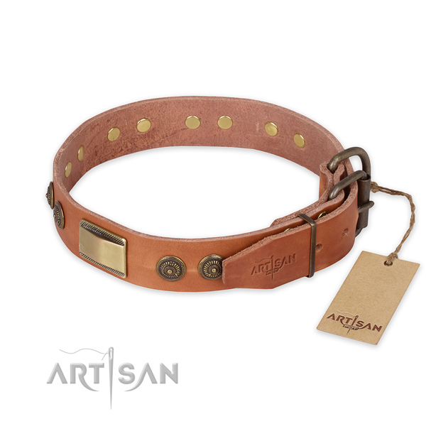 Corrosion proof traditional buckle on full grain natural leather collar for everyday walking your dog
