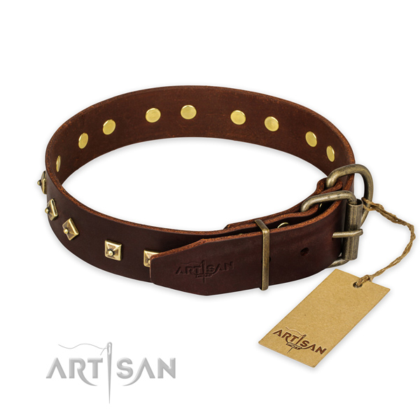 Reliable buckle on leather collar for daily walking your pet