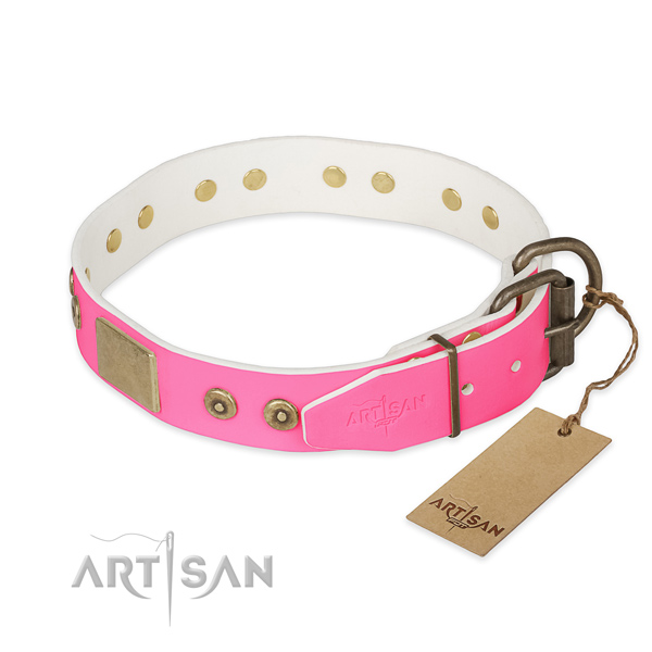 Rust-proof decorations on daily walking dog collar