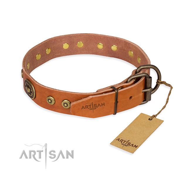 Full grain leather dog collar made of best quality material with rust-proof embellishments