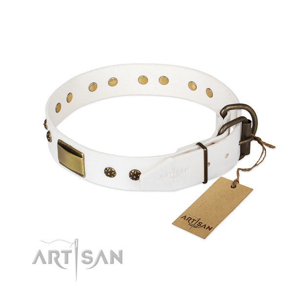 Full grain natural leather dog collar with rust resistant hardware and decorations