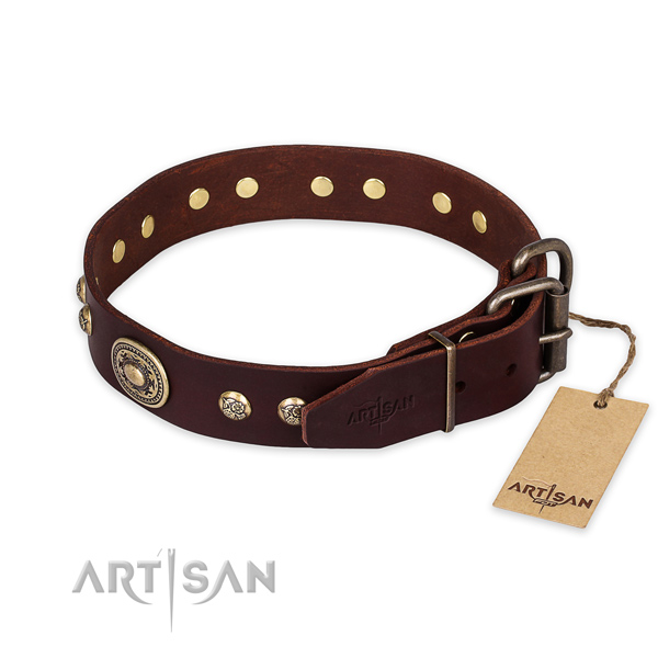 Durable buckle on full grain genuine leather collar for basic training your dog