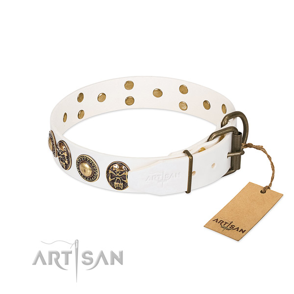 Corrosion proof D-ring on stylish walking dog collar