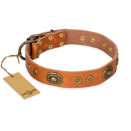 "Dandy Pet" FDT Artisan Handcrafted Tan Leather Sharpei Collar "Dandy Pet" FDT Artisan Handcrafted Tan Leather Sharpei Collar