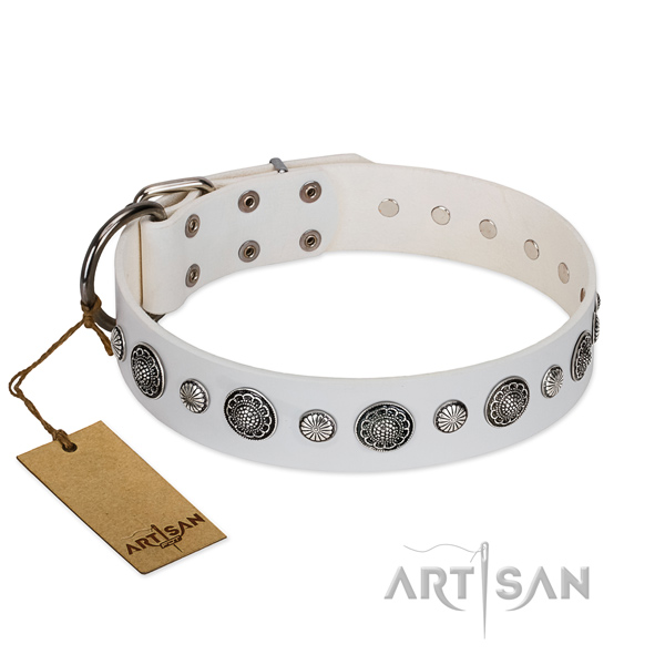 Quality natural leather dog collar with corrosion proof buckle