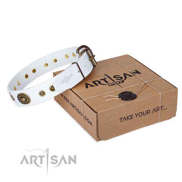 Natural genuine leather dog collar made of gentle to touch material with durable traditional buckle