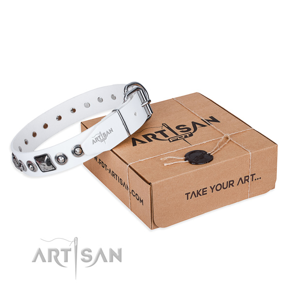 High quality full grain genuine leather dog collar made for walking