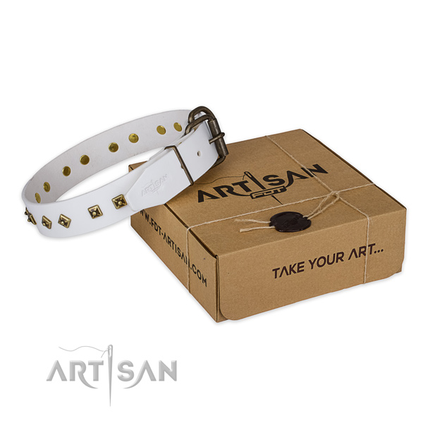 Strong traditional buckle on genuine leather dog collar for easy wearing