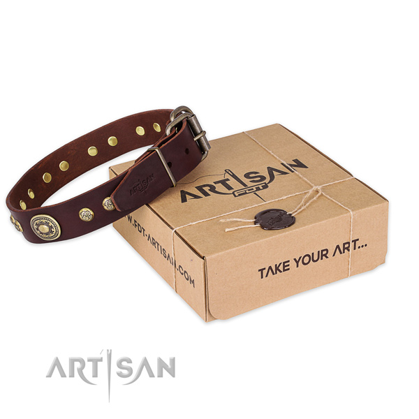 Durable traditional buckle on genuine leather dog collar for walking