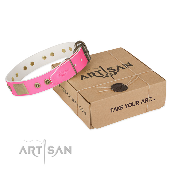 Corrosion resistant traditional buckle on dog collar for everyday walking