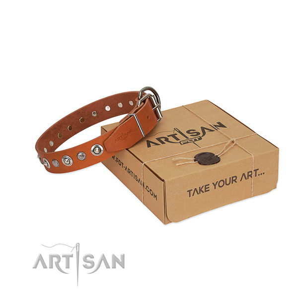 High quality genuine leather dog collar with fashionable embellishments