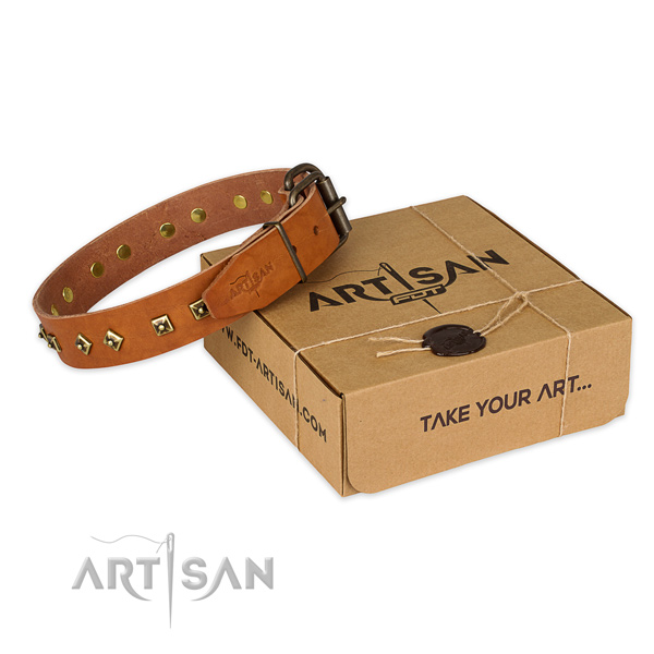 Durable hardware on leather dog collar for everyday use
