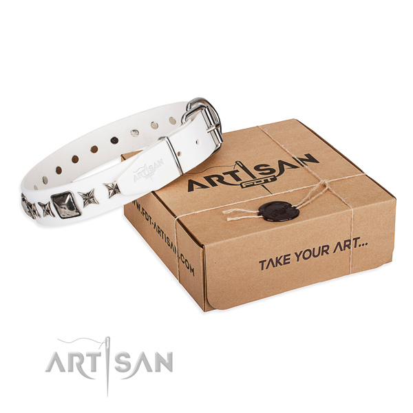 Daily walking natural leather dog collar with adornments