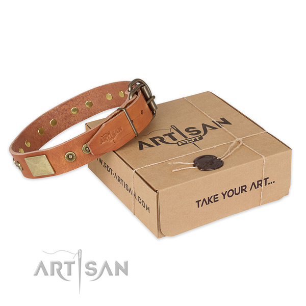 Rust-proof D-ring on full grain genuine leather dog collar for everyday use