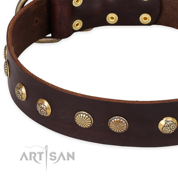 Genuine leather collar with reliable buckle for your beautiful doggie