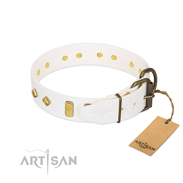 Quality leather dog collar with strong fittings