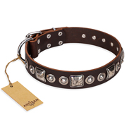 "Pierian spring" FDT Artisan Brown Leather Sharpei Collar with Silvery Decorations