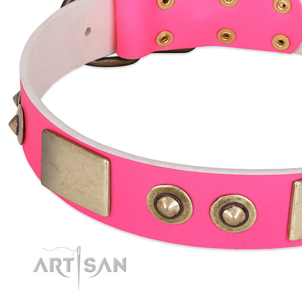 Corrosion proof traditional buckle on full grain leather dog collar for your doggie