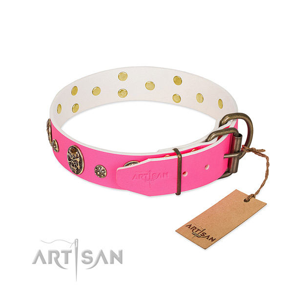 Reliable buckle on genuine leather collar for everyday walking your pet