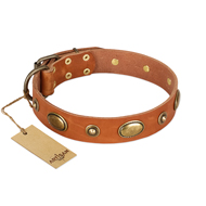 "Visual Magic" FDT Artisan Tan Leather Sharpei Collar for Daily Activities