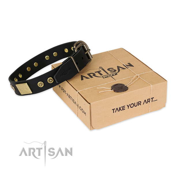 Reliable hardware on full grain natural leather dog collar for everyday walking