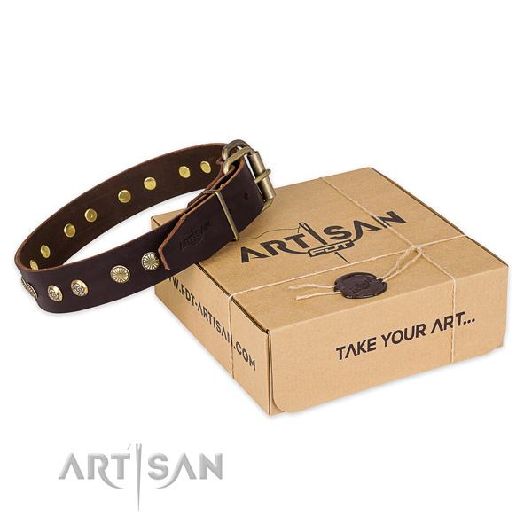 Corrosion resistant hardware on full grain leather collar for your impressive dog