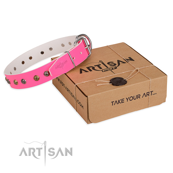 Fancy walking dog collar with Amazing strong adornments