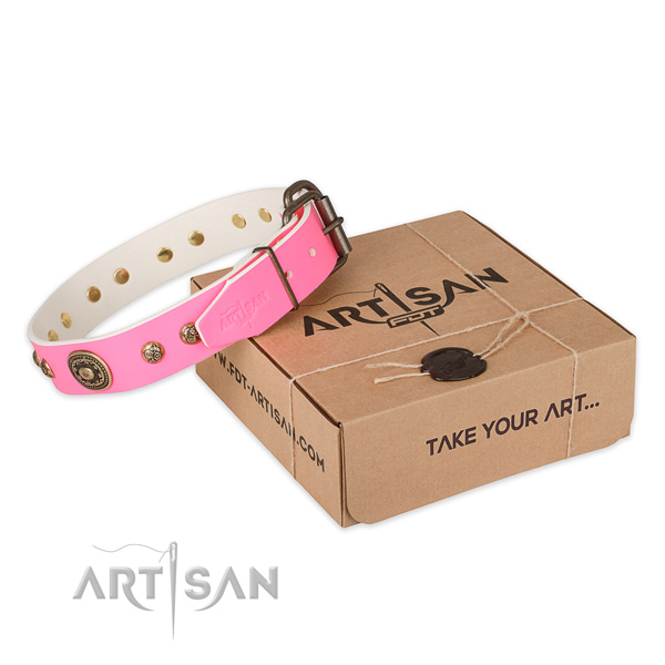 Corrosion proof buckle on full grain leather dog collar for basic training