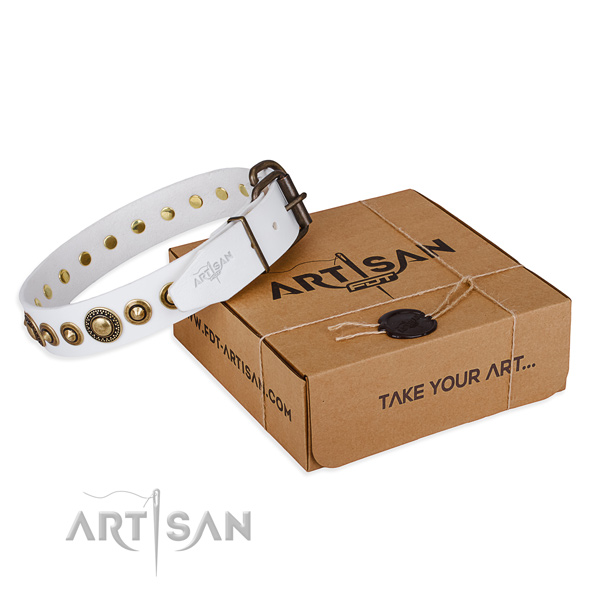 Quality leather dog collar handcrafted for daily use