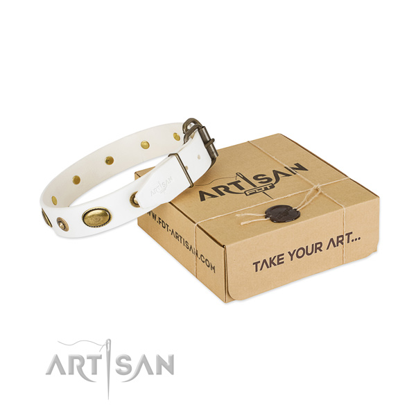 Amazing full grain natural leather collar for your stylish pet