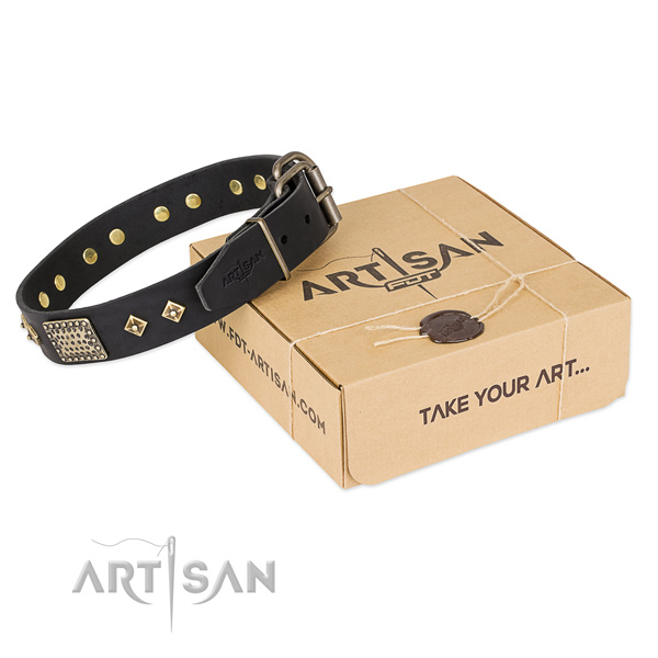Impressive genuine leather collar for your lovely canine