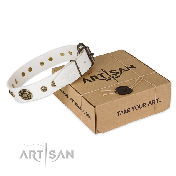Corrosion proof fittings on full grain leather dog collar for everyday use