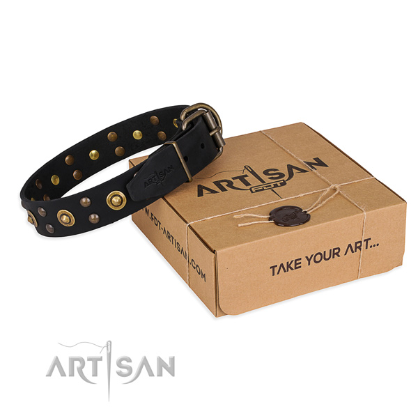 Reliable fittings on genuine leather collar for your beautiful doggie