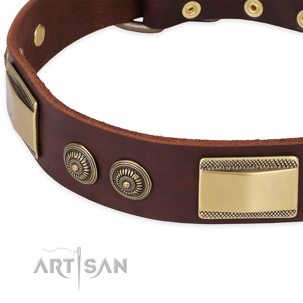 Best quality full grain leather collar for your stylish canine