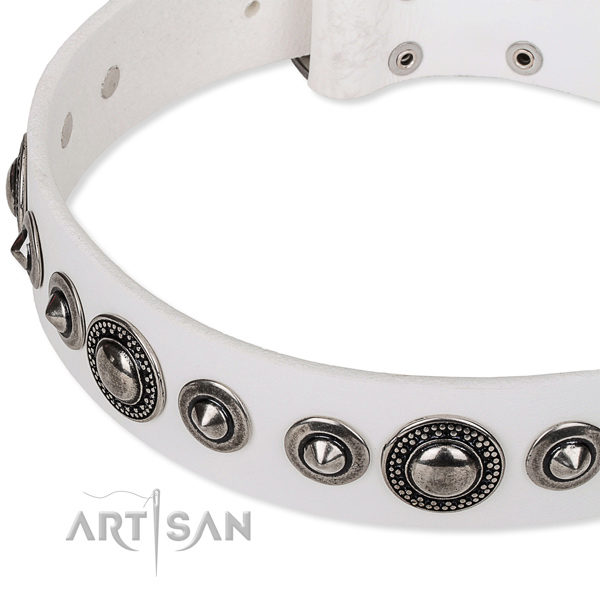Fancy walking decorated dog collar of top notch full grain genuine leather