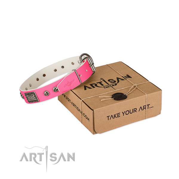 Strong traditional buckle on dog collar for stylish walking