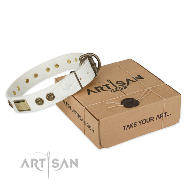 Reliable D-ring on genuine leather dog collar for daily use