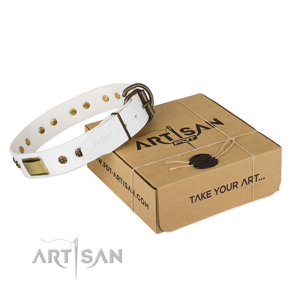 Exquisite genuine leather collar for your lovely dog